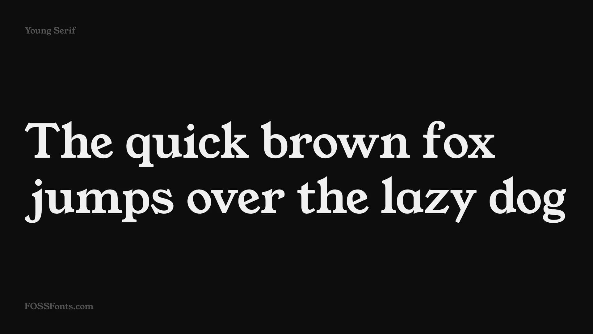 Young Serif preview 1